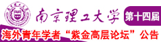 搞基亚洲一区南京理工大学第十四届海外青年学者紫金论坛诚邀海内外英才！